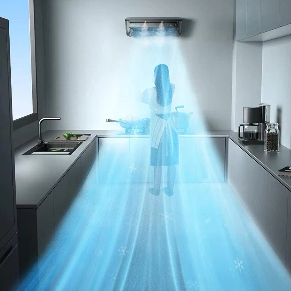 Portable Wall Mounted Airs Conditioners